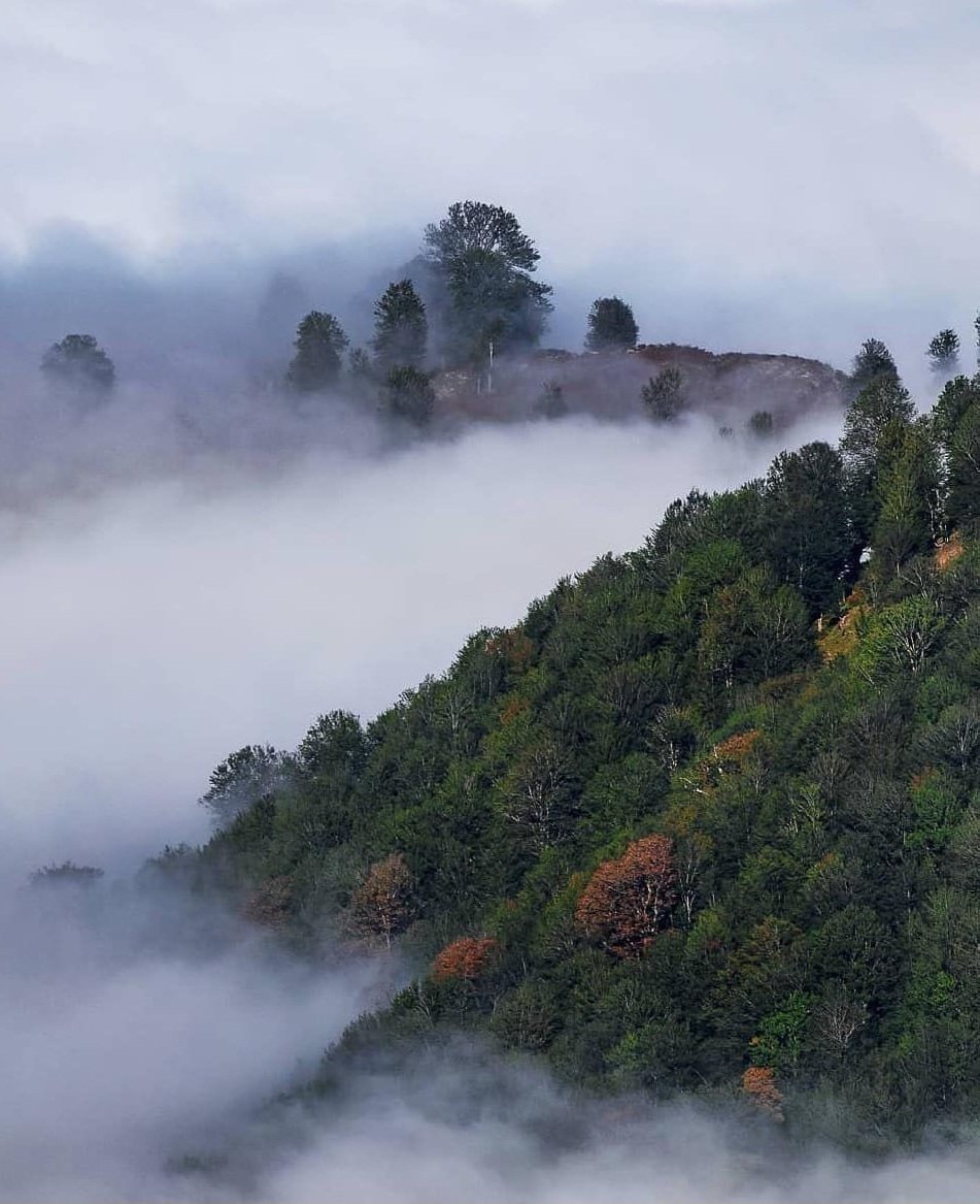 ارتباط با آدما