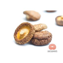 درمان زگیل تناسلی با شیتاکه ؟!