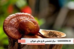 ۶ تاثیر قارچ گانودرما بر اعصاب