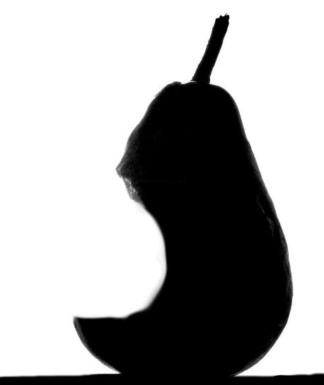 یک گلابی برای نمونه!