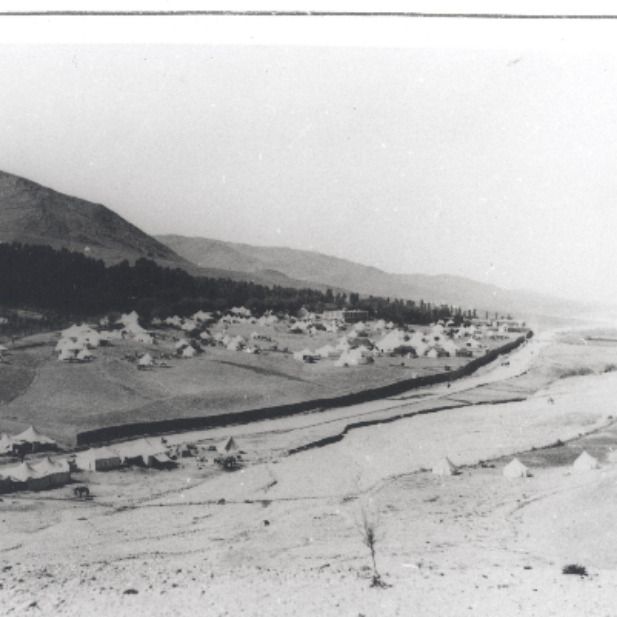 پرویز پروین