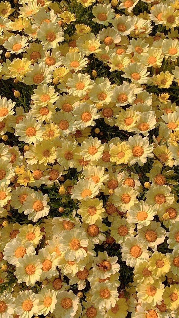 بالاخره نوبت منم میشه
