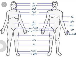 جهان و بدن