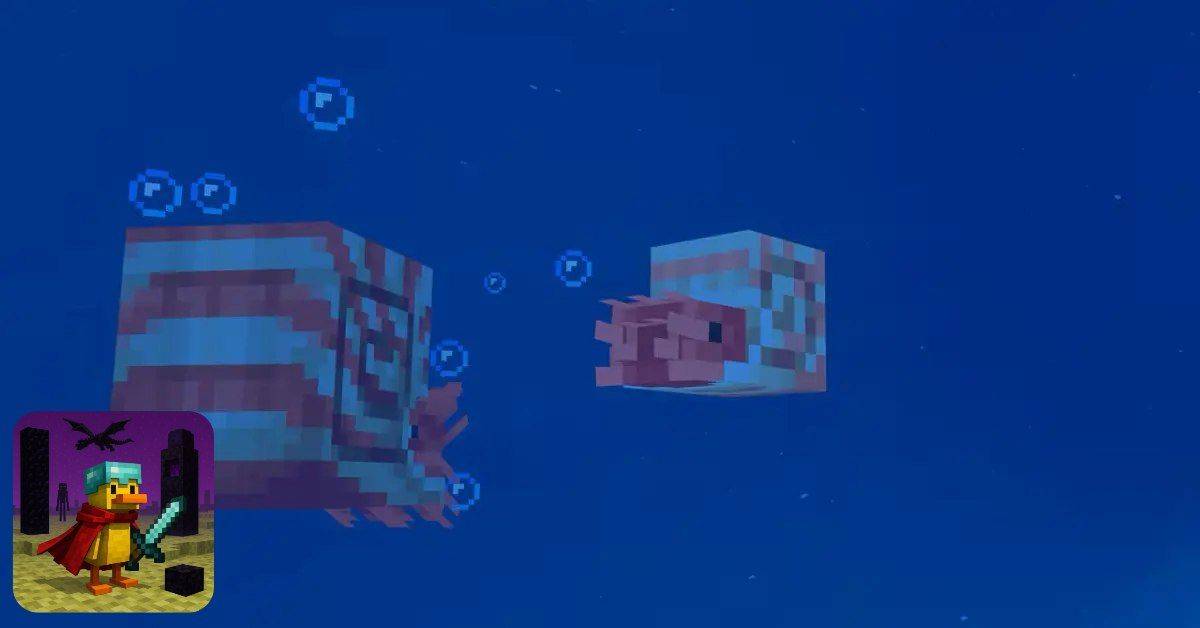 خبر خوب این است که شما می‌توانید ناتیلوس‌ های خود را پرورش دهید. اگر دو ناتیلوس رام شده را در نزدیکی هم قرار دهید و به آن‌ها غذای مورد علاقه‌شان، یعنی همان پافرفیش را بدهید، آن‌ها یک بچه ناتیلوس (Baby Nautilus) به دنیا خواهند آورد. این ویژگی به شما اجازه می‌دهد تا ارتشی از این موجودات وفادار را برای خود و دوستانتان در سرورهای چندنفره فراهم کنید.