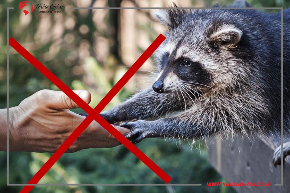 دانستنیهای عجایب کانادا