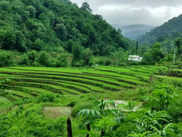 مسافرت به بهشت اُطاقور