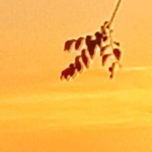 ø 𝐍𝕀ℍ𝕀𝕃𝕀𝕊𝐓 ø