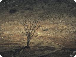 میخوام بخونم بعدا