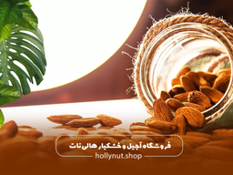 بهترین زمان برای مصرف آجیل صبح، ظهر یا شب؟