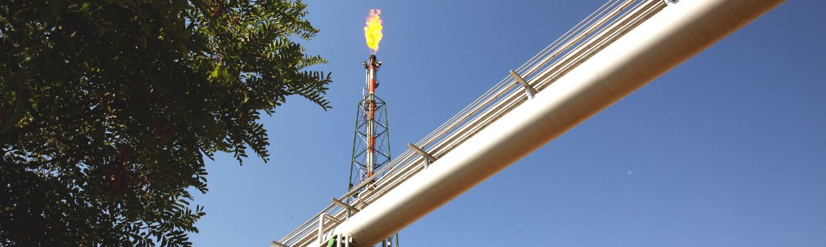 خط فلر پتروشیمی