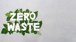 زیرو ویست: گزارشی از تجربه‌ی نه چندان موفق من