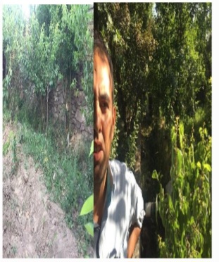 این عصبانیت من دریکی از روزهای اتفاق افتاده در جریان اتفاقات این چندسال است.