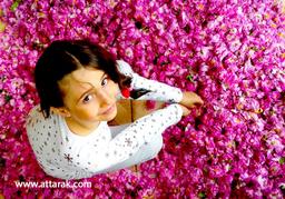 اردوی کاشان – (اردیبهشت ۱۳۷۸  )