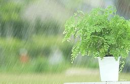 بارون -تقدیم به تو ،که عشقی