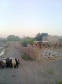 این هم عکس از روستای خودمان