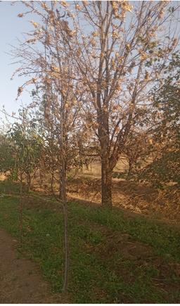 بیداری از خواب و  شهریور و احساس ناامیدی