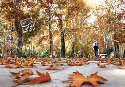 دو پلان از پاییز