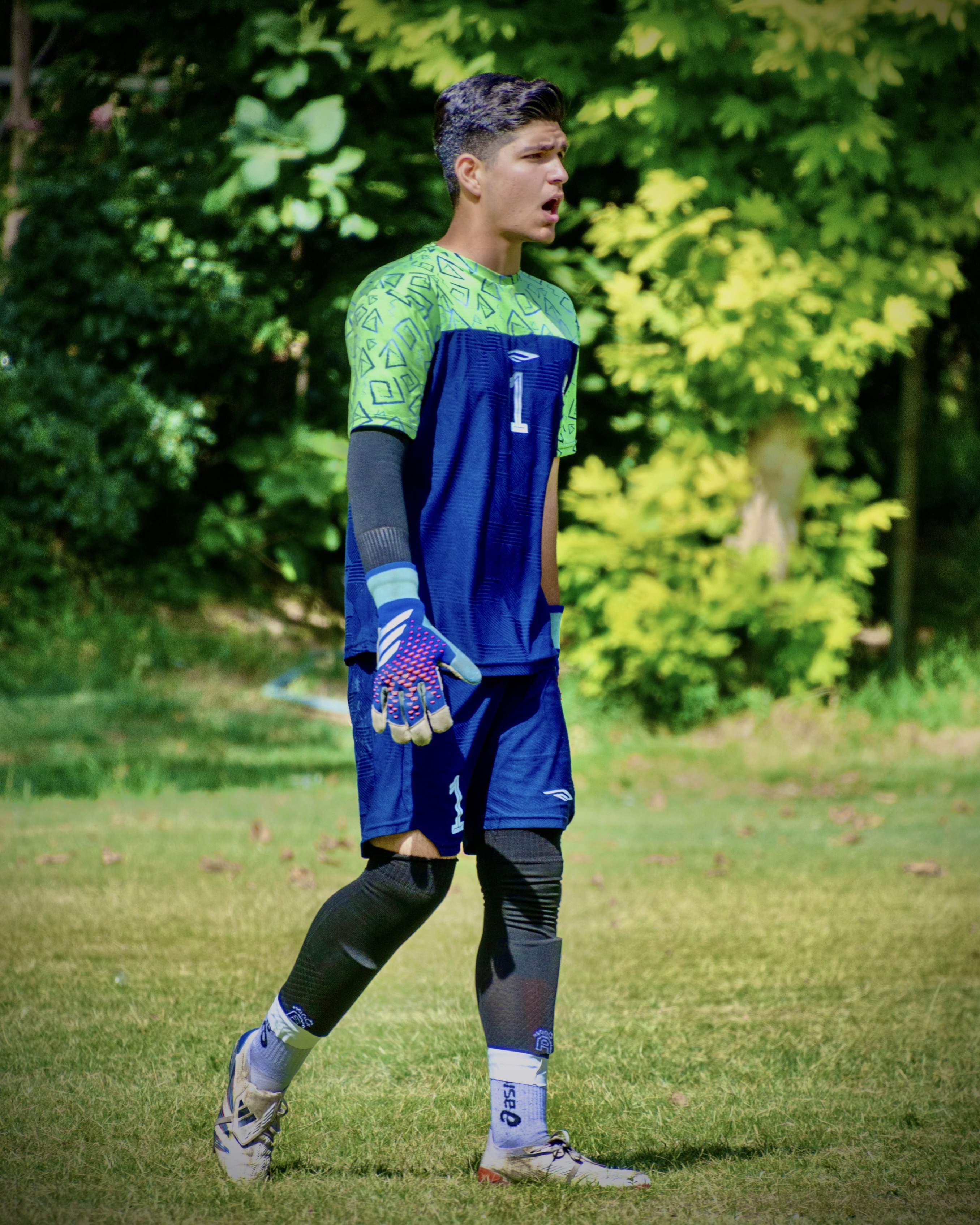 محمد ماهان مومنی