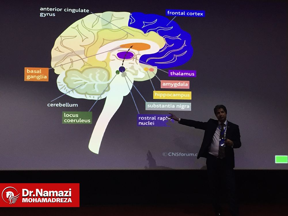 دکترمحمدرضانمازی