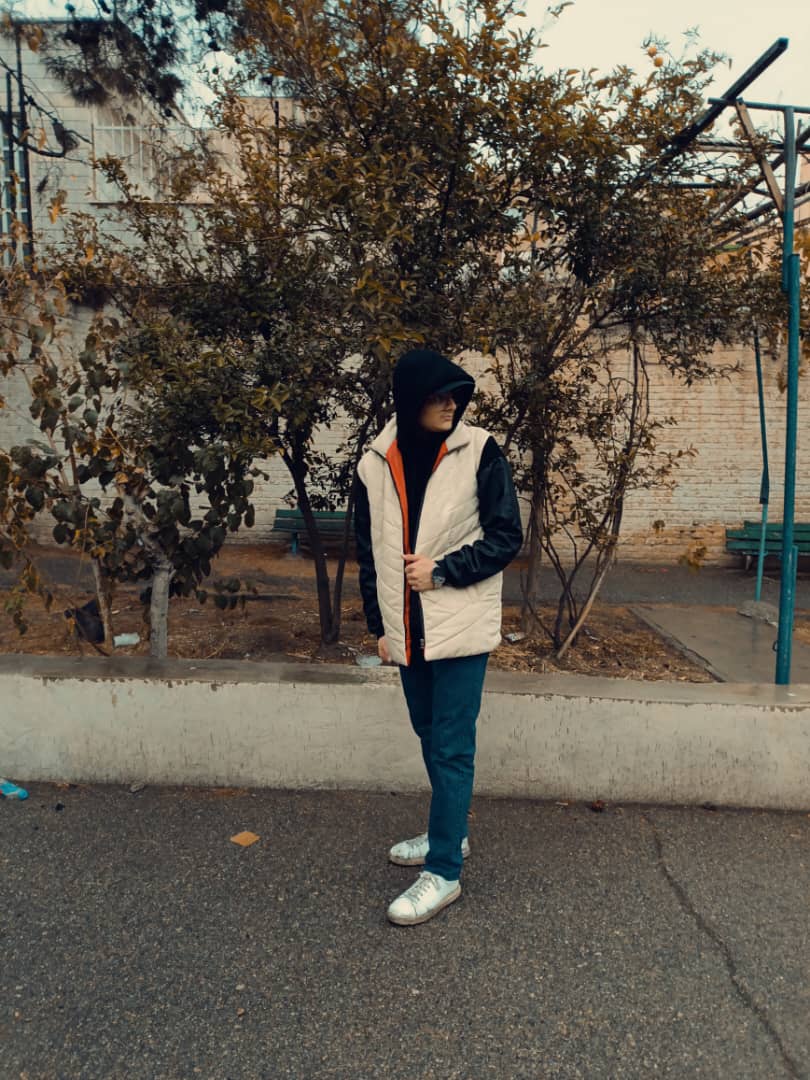 سید محمد مجتبی محسنی