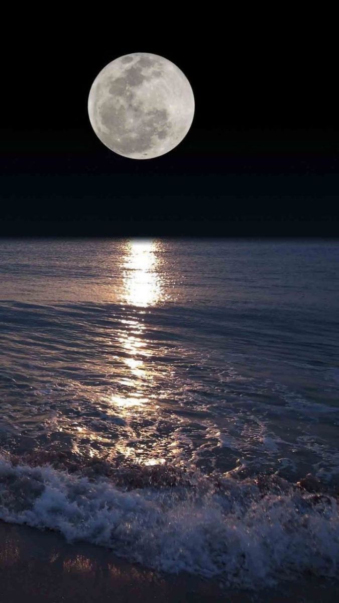 . شب های خونین.