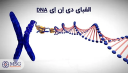 هرکسی رژیم مخصوص خودشو داره!