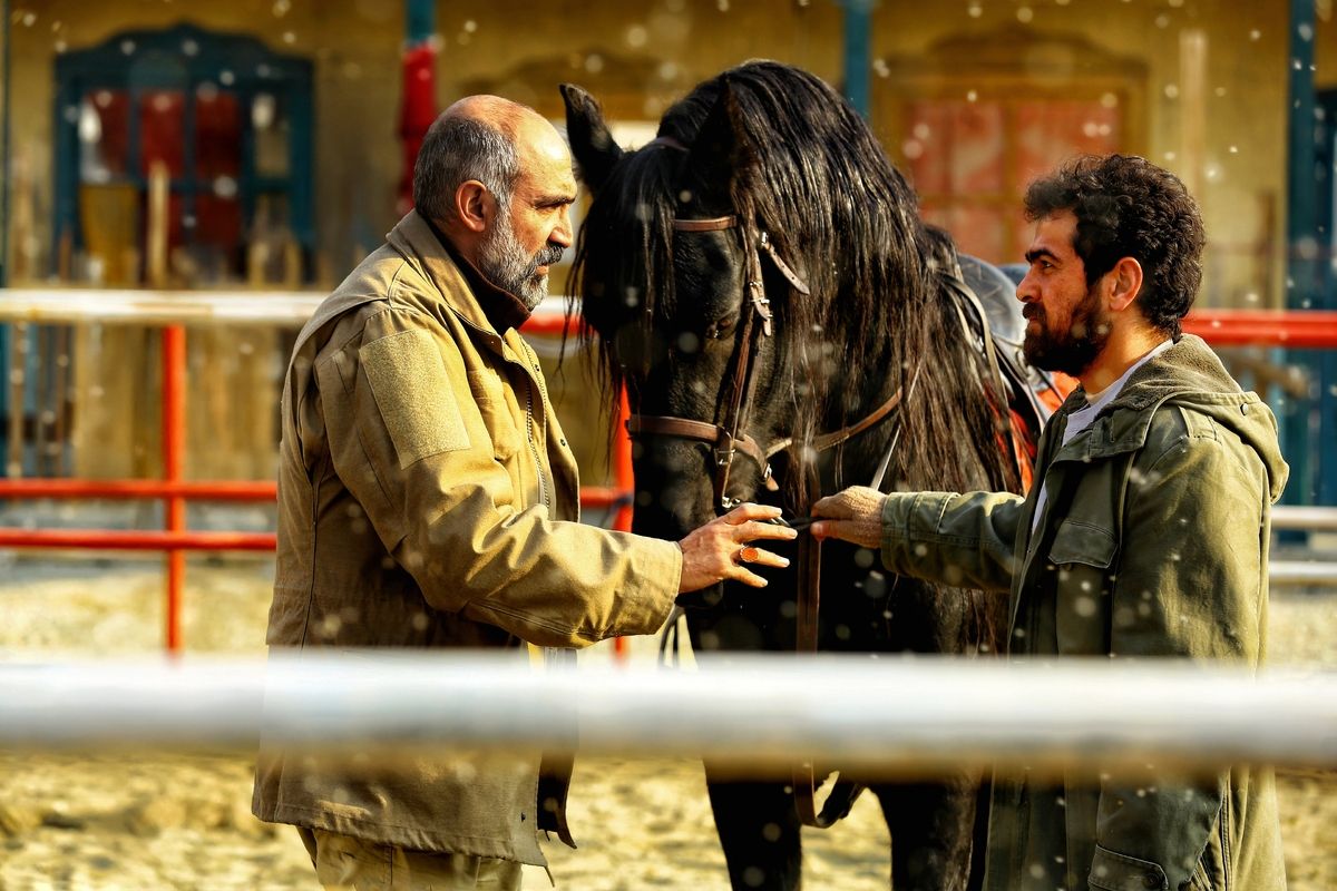 استاد میرسعید مولویان استاد هادی حجازی فر