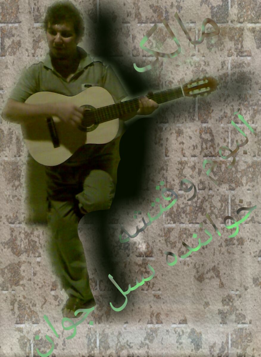 مالک اولین آلبوم هایش فامیل خود را نمی گفت بعد ها که وارد جام جم و صدا سیما و مصاحبه کرد فامیل خود را گفت ومالک فامیلی اش غنمی آریاپور است