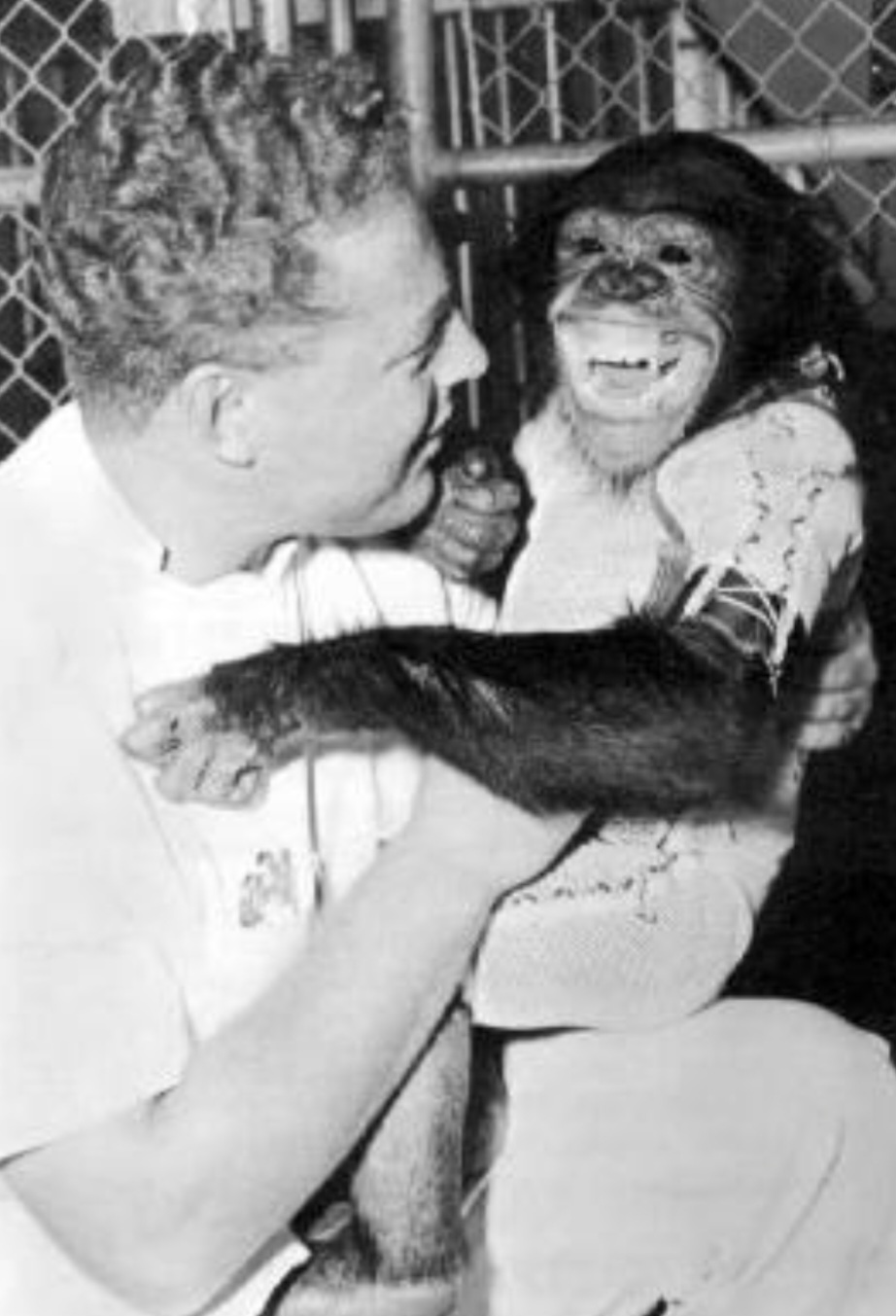 تشابه ژنتیکی انسان و شامپانزه بیش از ۹۷ درصد میباشد