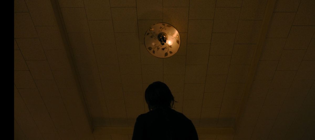 می توانید پروانه را روی لوستر پیدا کنید؟ 👀