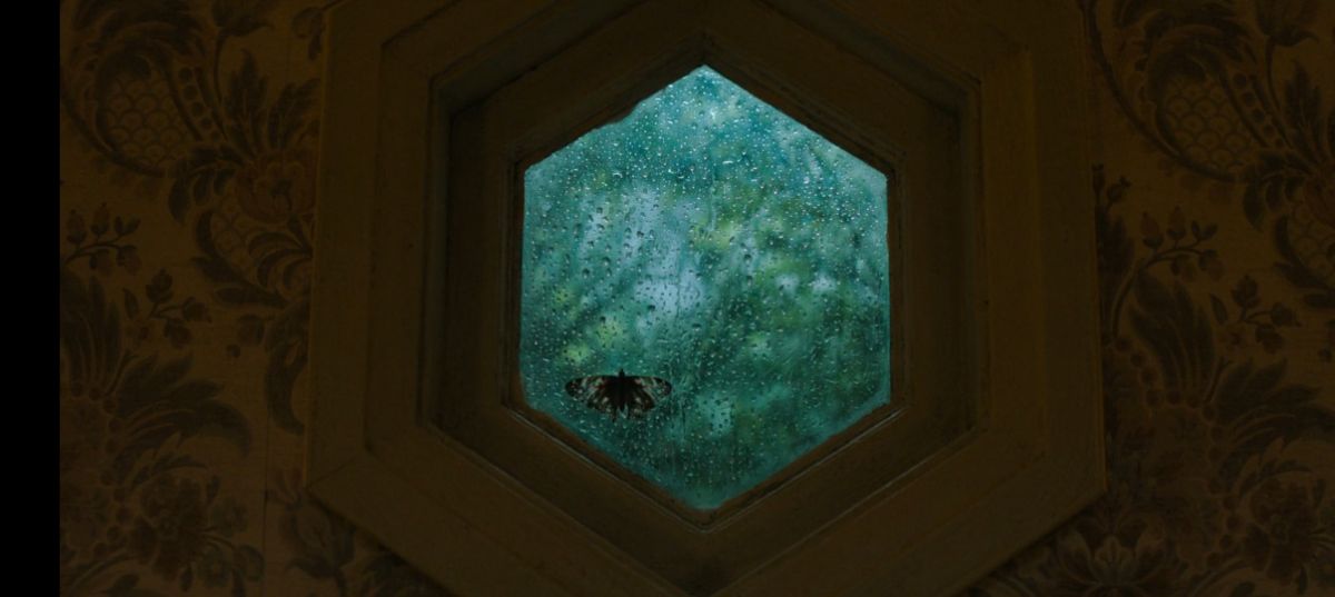 کاشتن بذر فیلم در ابتدا با نمادگرایی 