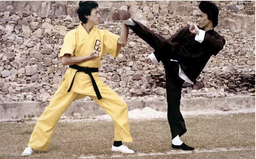 در ورزشهای رزمی تاثیر فرد بیشتر است یا سبک؟ کدام نمایش قدرت است؟