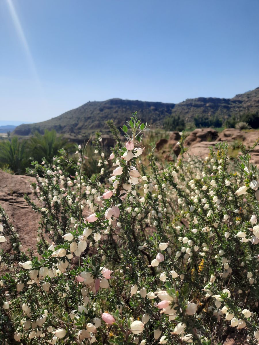 تنها عکسِ گالریم که آسمون داشت،همین بود.