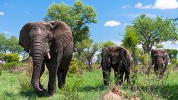 تور آفریقای جنوبی و جاذبه های آن