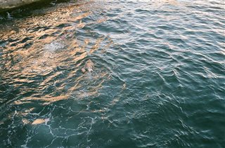 بخشی از آثار نمایشگاه (از سایت گالری اینفو)