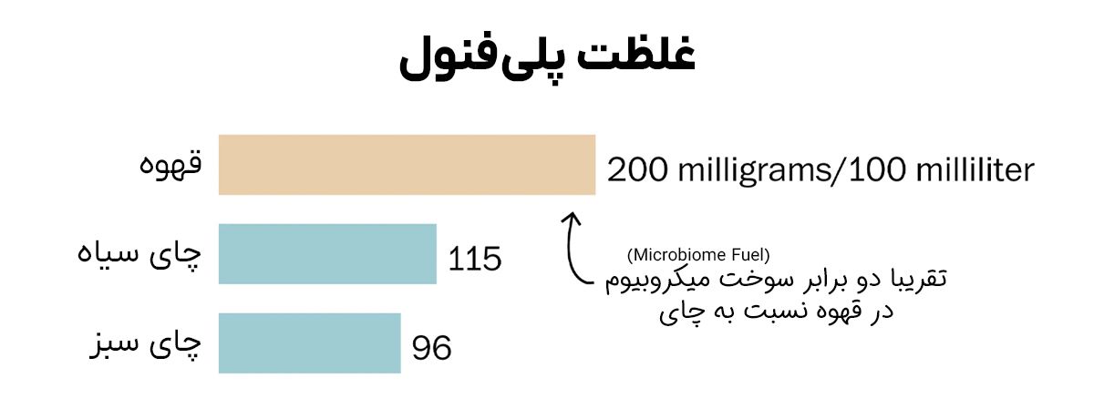 مقایسه میزان پلیفنول قهوه و چای