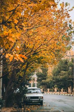 «دنده عقب به گذشته»