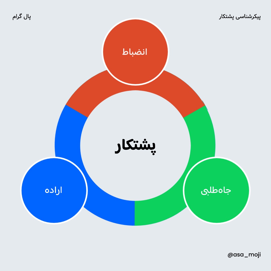 پیکرشناسی پشتکار