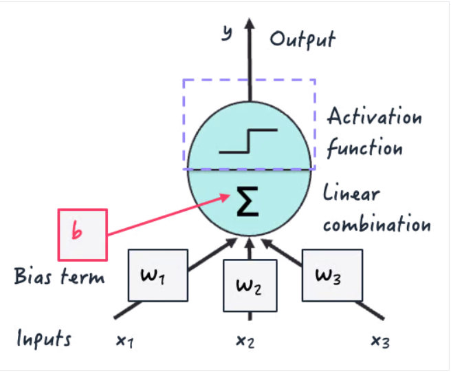 عملکرد فعال سازی در داخل یک نورون مصنوعی | ایوان پالومارس