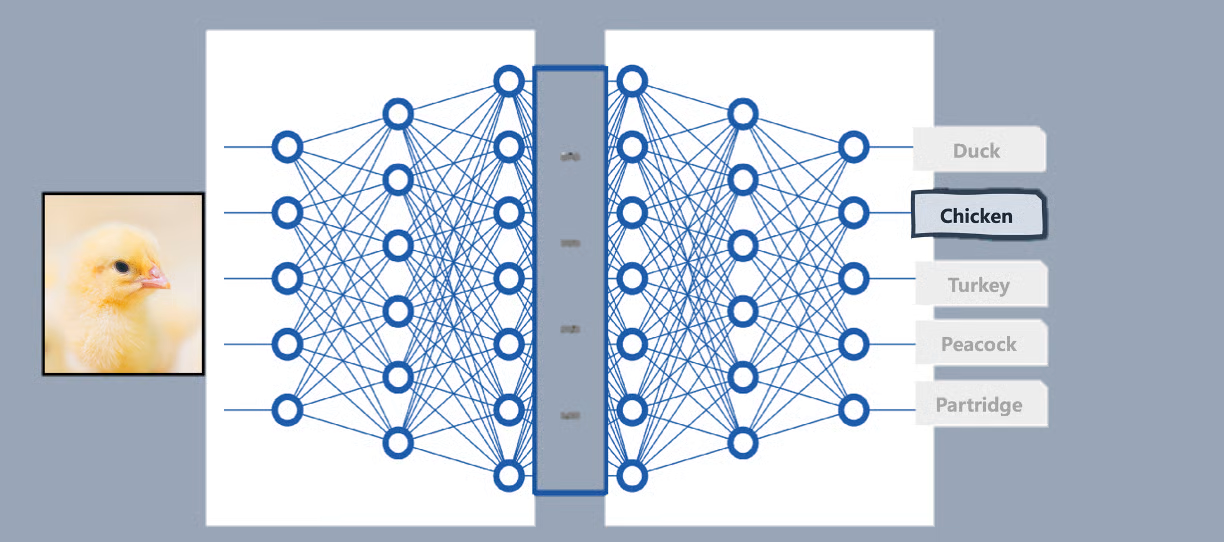 معماری یادگیری عمیق برای طبقهبندی تصویر | ایوان پالومارس