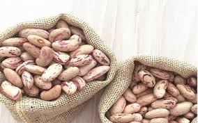 لوبیا چیتی های غول پیکر