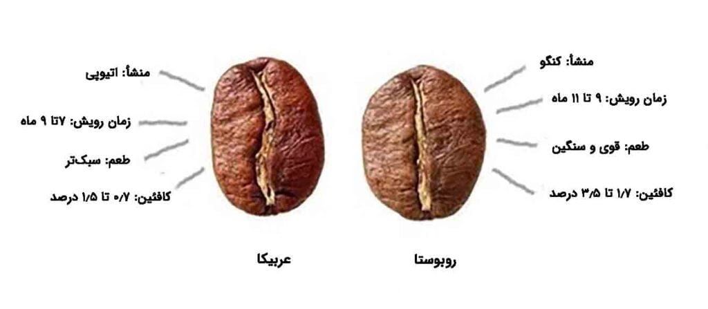 ویژگی دانه های قهوه