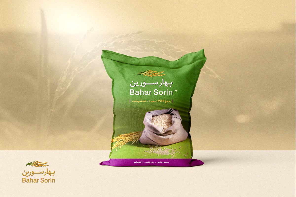 برنج ۳۸۶ بهار سورین 