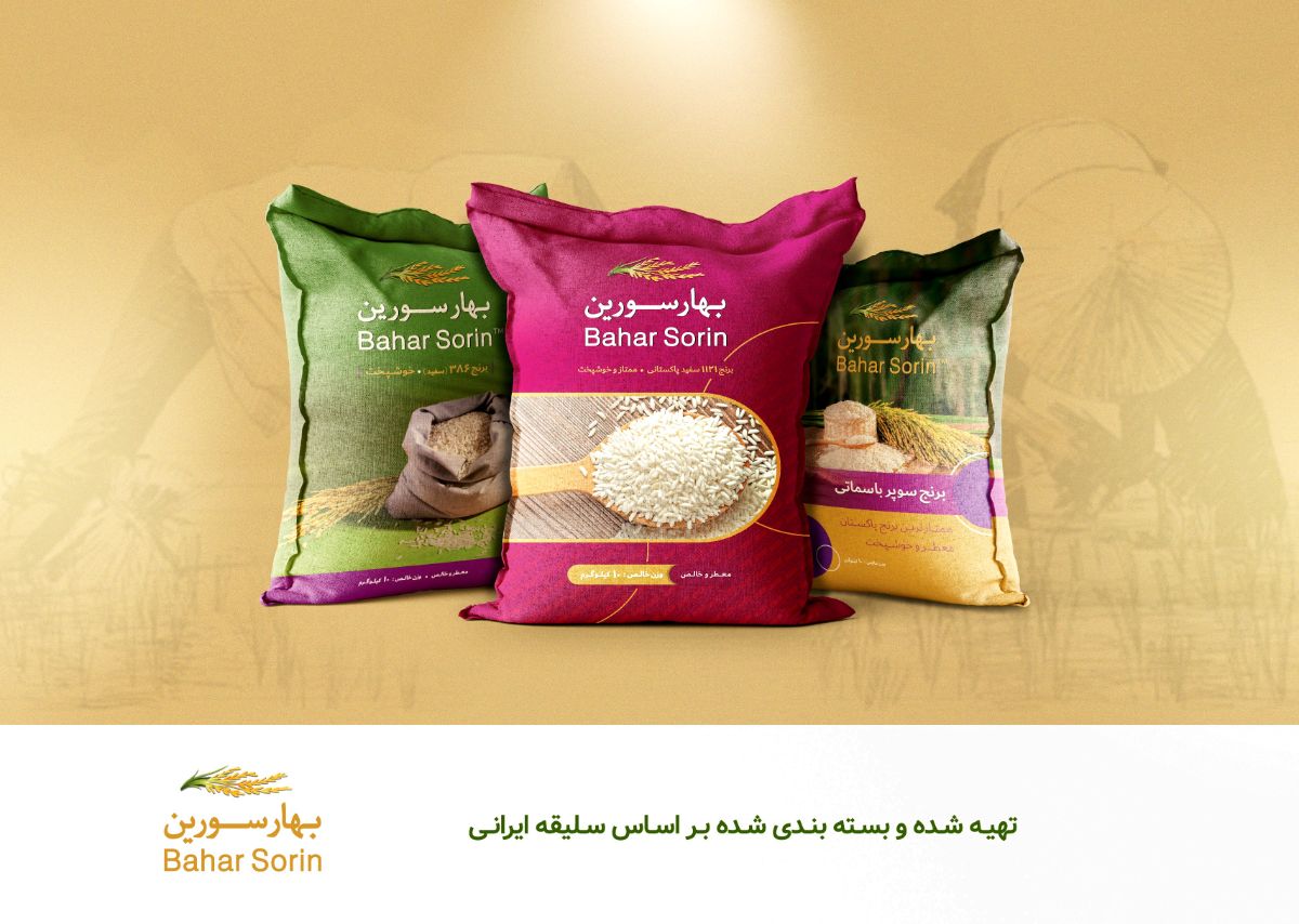 برنج بهار سورین 