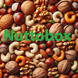 افزایش قدرت و تسریع ریکاوری عضلات با آجیل؛ سوخت طبیعی برای تناسب اندام