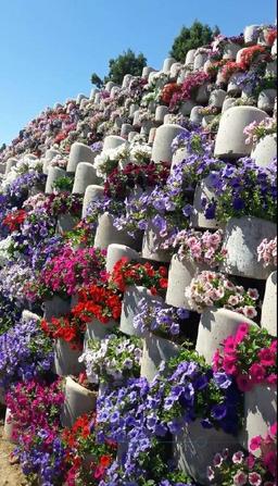 فلاورباکس بتنی گلفوژ