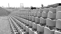 نمای سبز و پایدار با گلدان بتنی گلفوژ؛ دو هدف با یک محصول