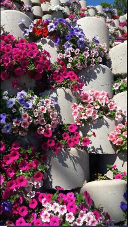 فلاور باکس شهری