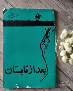 معرفی کتاب "بعد از تابستان" و شیوه‌ی خاص نویسندگی "غزاله علیزاده" | اکرم‌حسینی‌نسب
