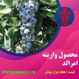 در باره بلوبری بدانید